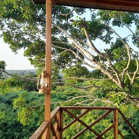 Leopard Nest - Glamping In Yala Hotel Exterior foto
