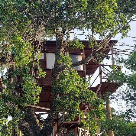 Leopard Nest - Glamping In Yala Hotel Exterior foto