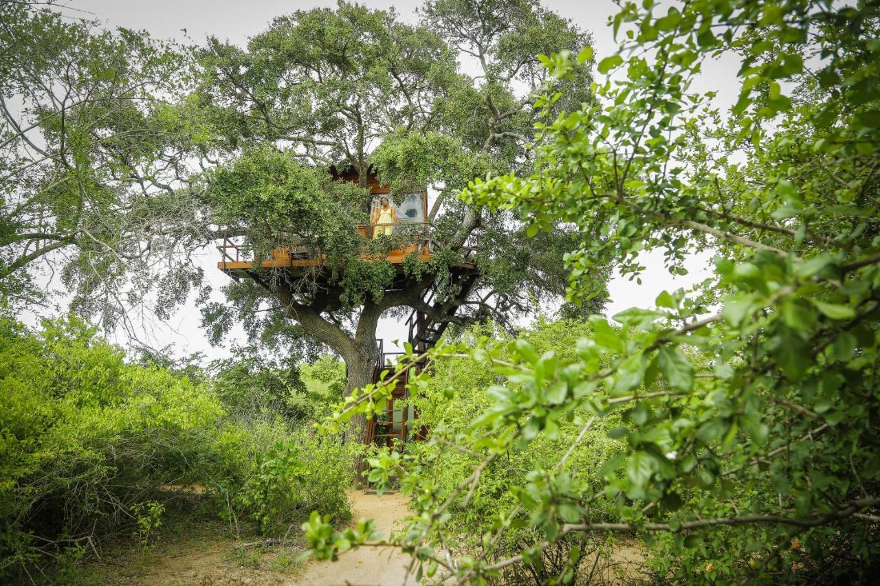 Leopard Nest - Glamping In Yala Hotel Exterior foto