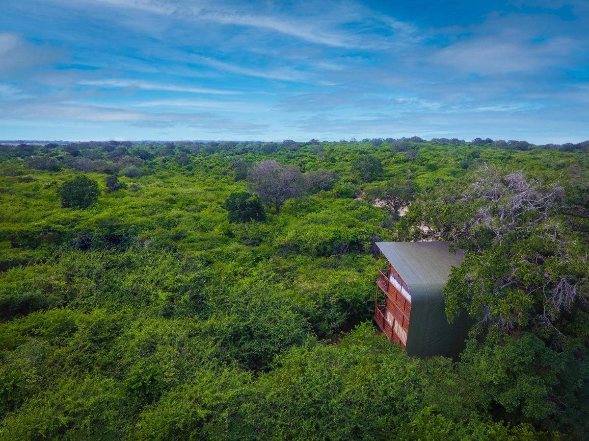 Leopard Nest - Glamping In Yala Hotel Exterior foto
