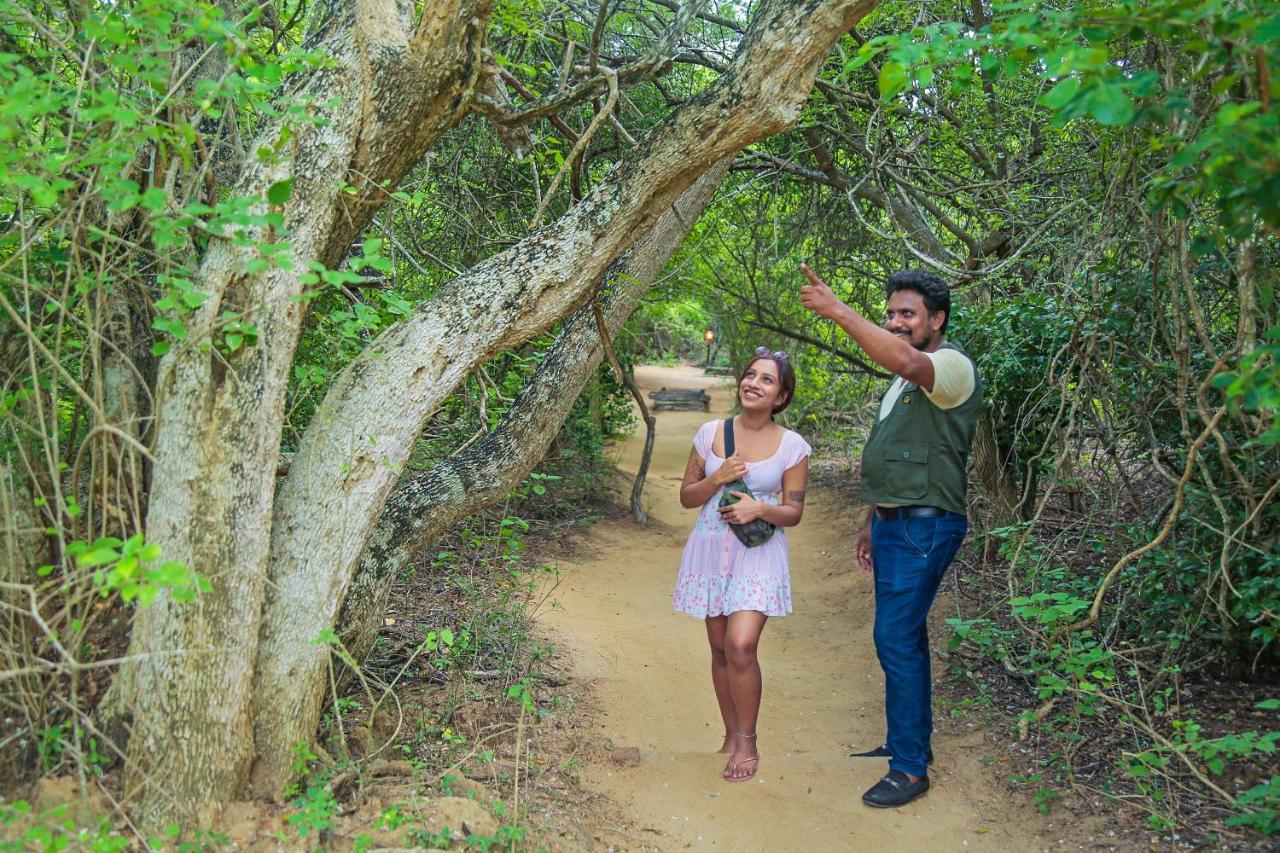 Leopard Nest - Glamping In Yala Hotel Exterior foto
