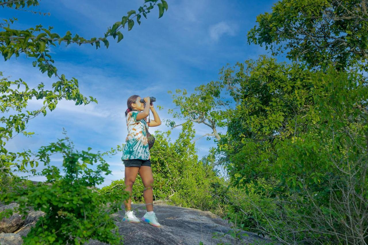 Leopard Nest - Glamping In Yala Hotel Exterior foto