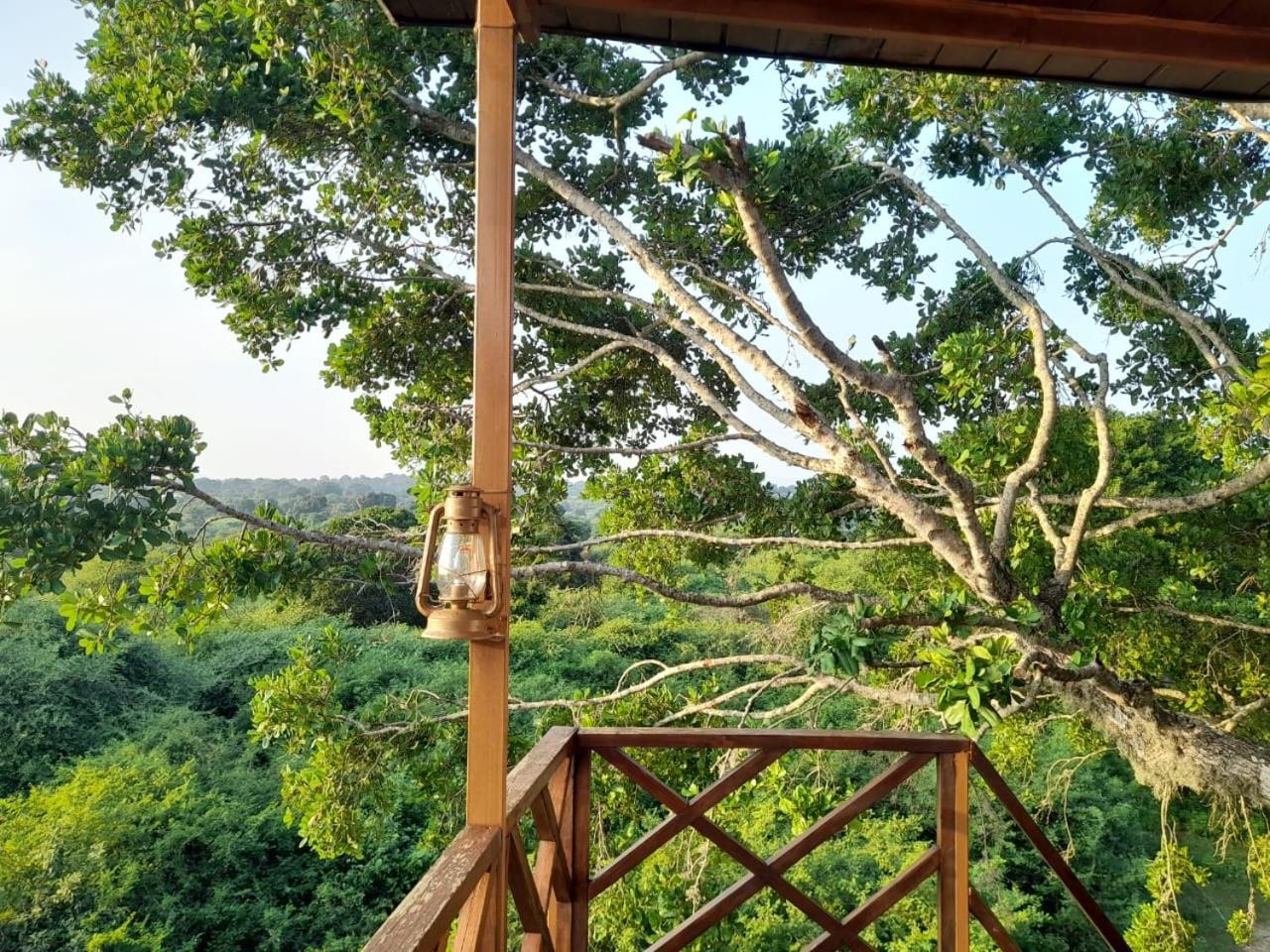 Leopard Nest - Glamping In Yala Hotel Exterior foto