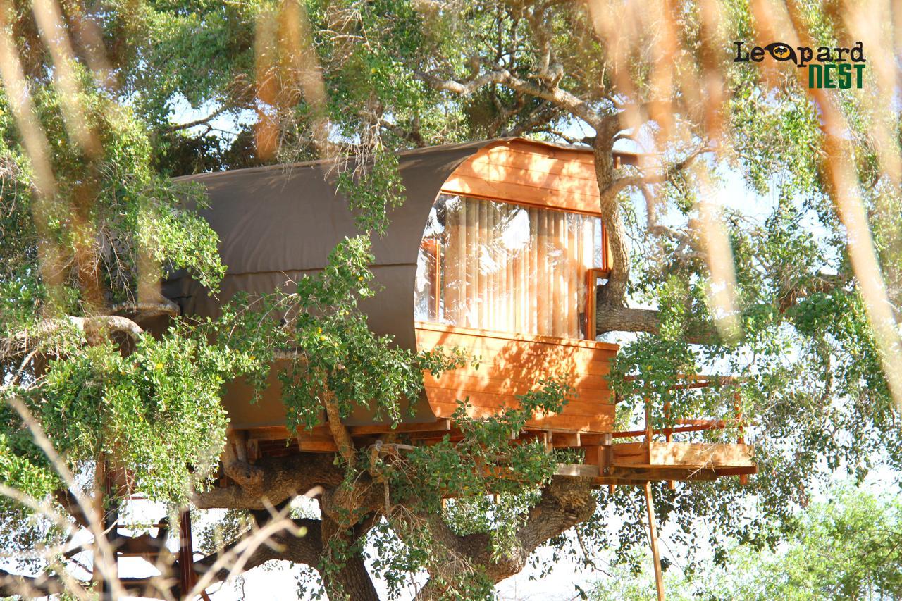 Leopard Nest - Glamping In Yala Hotel Exterior foto