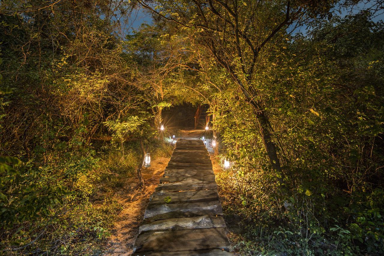 Leopard Nest - Glamping In Yala Hotel Exterior foto