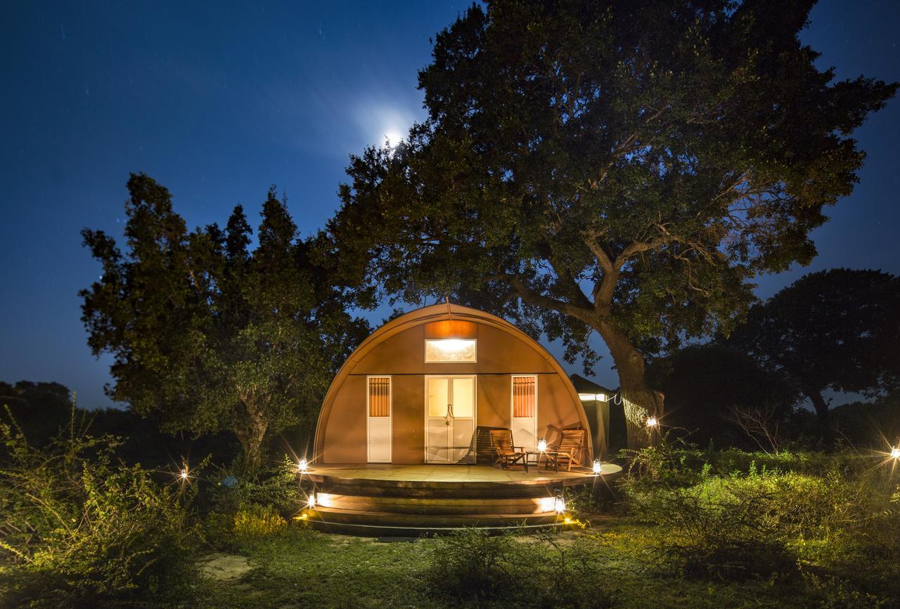Leopard Nest - Glamping In Yala Hotel Exterior foto
