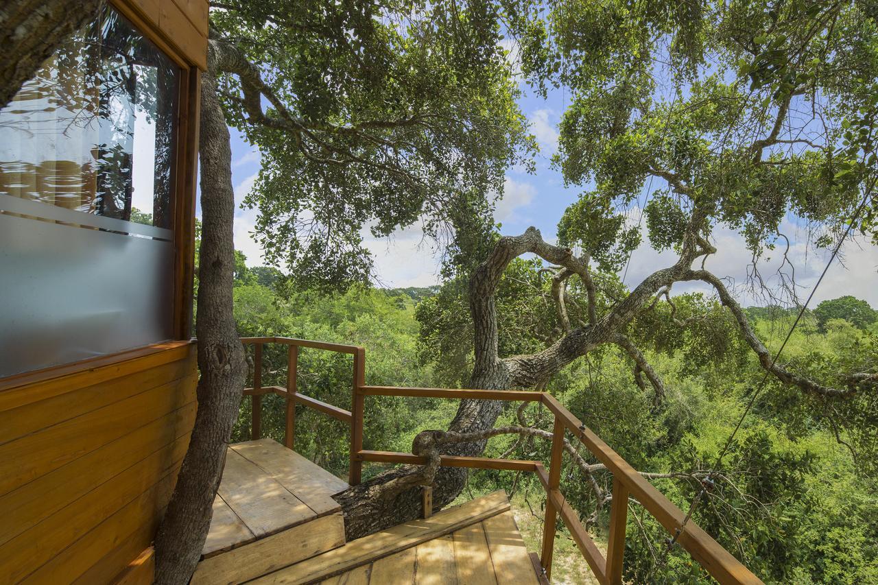 Leopard Nest - Glamping In Yala Hotel Exterior foto