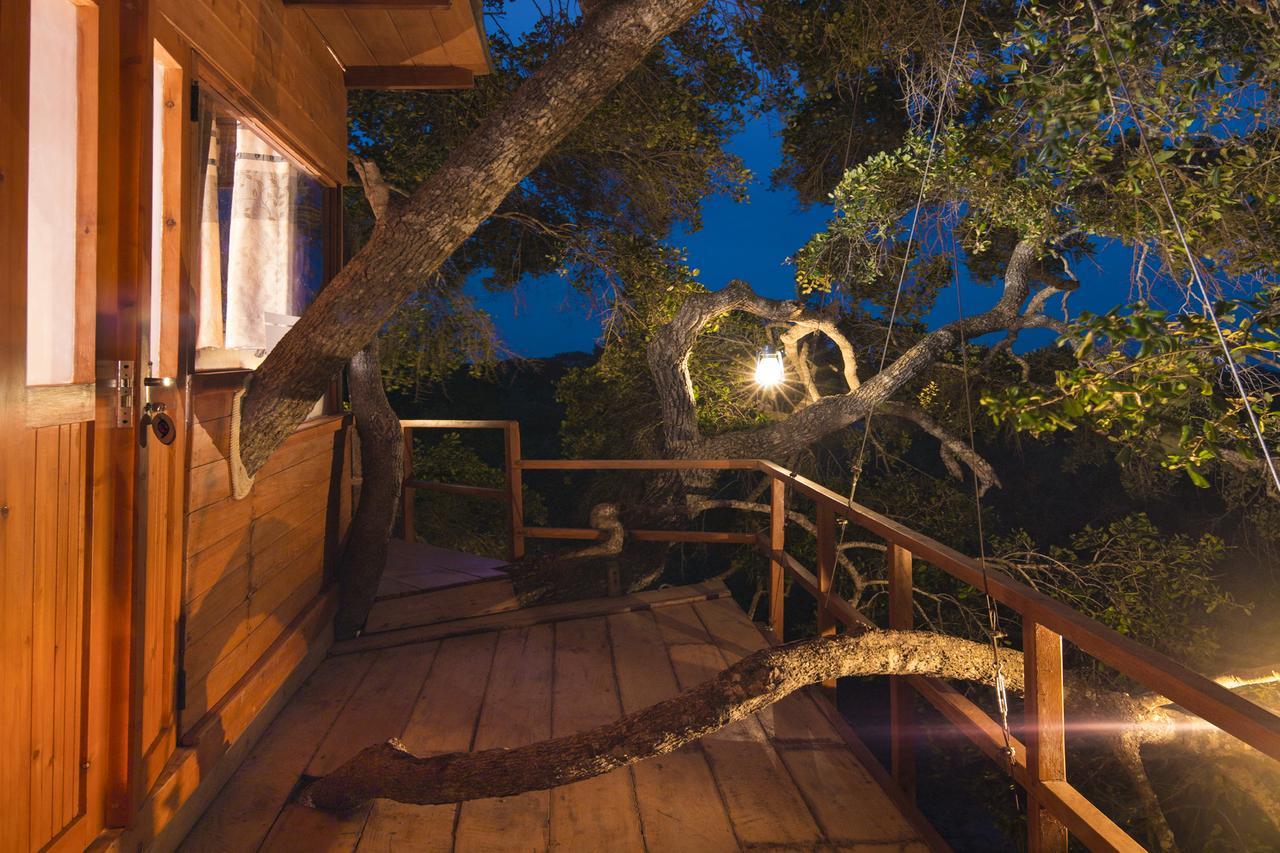 Leopard Nest - Glamping In Yala Hotel Exterior foto